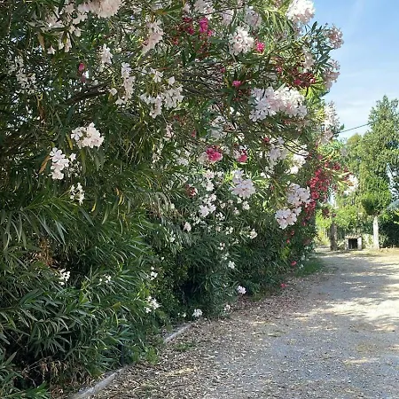 Apartament Hestia Greekgod Sidárion